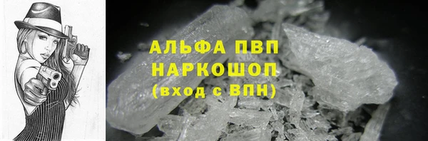 альфа пвп Новодвинск