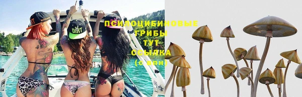 дистиллят марихуана Новокубанск